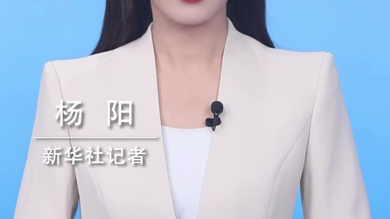 科技服务供应商选择：关键要素与决策逻辑**